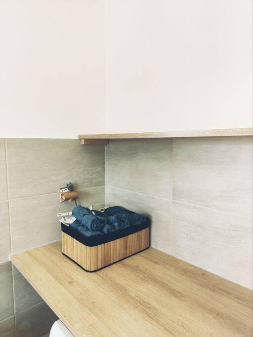 Appartement Beau Duplex Familial Avec Jardin Cloture à Douvaine Extérieur photo